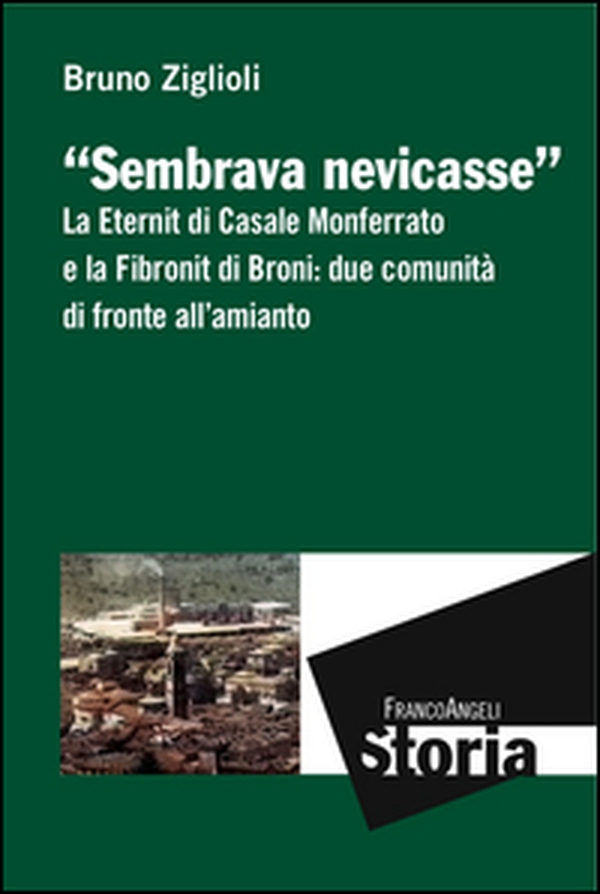 Sembrava nevicasse. La Eternit di Casale Monferrato e la Fibronit di Broni: due comunità di fronte all'amianto - Librerie.coop Sembrava nevicasse. La Eternit di Casale Monferrato e la Fibronit di Broni: due comunità di fronte all'amianto - Librerie.coop