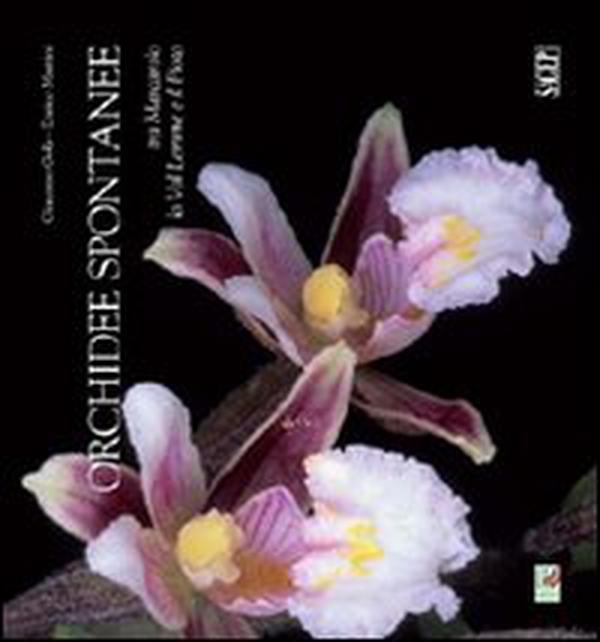 Orchidee spontanee tra Marcarolo la Val Lemme e il Piota - Librerie.coop Orchidee spontanee tra Marcarolo la Val Lemme e il Piota - Librerie.coop