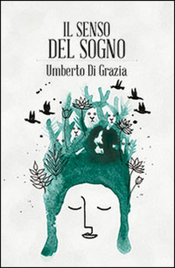Il senso del sogno - Librerie.coop Il senso del sogno - Librerie.coop
