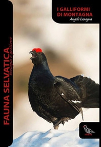 Galliformi di montagna - Librerie.coop