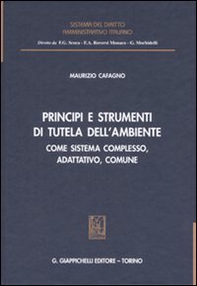 Principi e strumenti di tutela dell'ambiente. Come sistema complesso, adattativo, comune - Librerie.coop