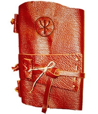 Cani nella vigna - Librerie.coop