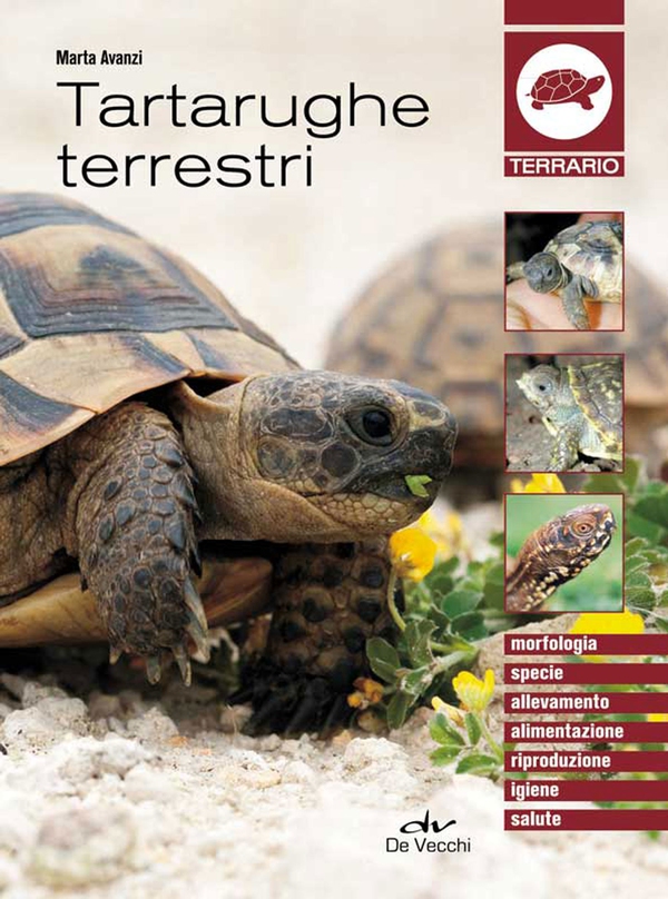 Tartarughe terrestri - Librerie.coop Tartarughe terrestri - Librerie.coop
