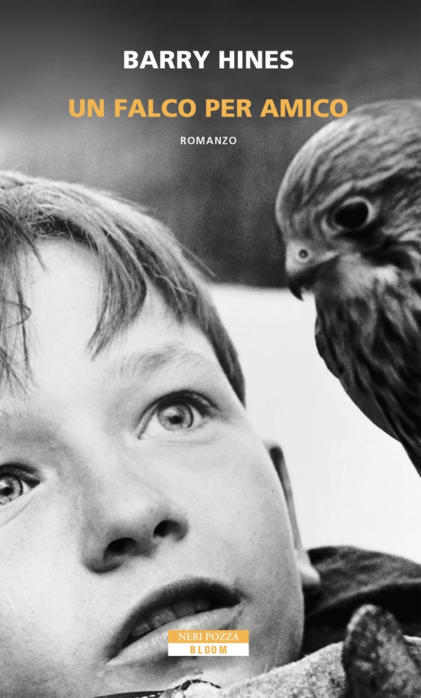Un falco per amico - Librerie.coop Un falco per amico - Librerie.coop