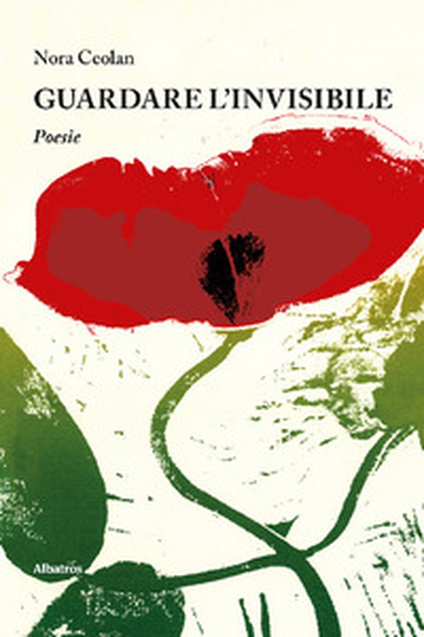 Guardare l'invisibile - Librerie.coop Guardare l'invisibile - Librerie.coop
