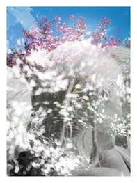 Fotografia europea 2021. Sulla luna e sulla terra/Fate largo ai sognatori! Ediz. italiana e inglese - Librerie.coop