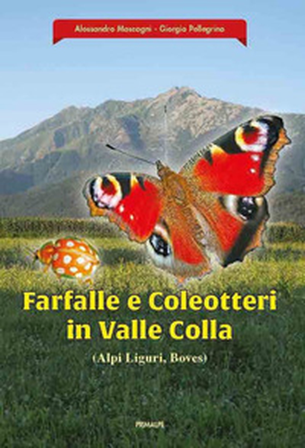 Farfalle e coleotteri in valle colla (Alpi Liguri, Boves) - Librerie.coop Farfalle e coleotteri in valle colla (Alpi Liguri, Boves) - Librerie.coop