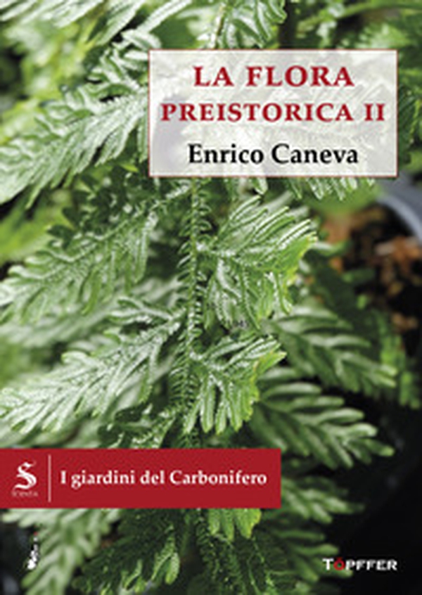 I giardini del Carbonifero. La flora preistorica - Vol. 2 - Librerie.coop I giardini del Carbonifero. La flora preistorica - Vol. 2 - Librerie.coop