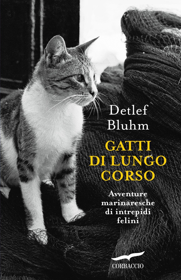Gatti di lungo corso - Librerie.coop Gatti di lungo corso - Librerie.coop