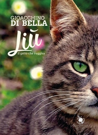 Liù, il gatto che ruggiva - Librerie.coop