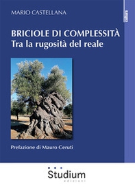 Briciole di complessità. Tra la rugosità del reale - Librerie.coop