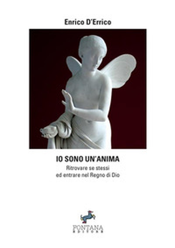 Io sono un'anima. Ritrovare se stessi ed entrare nel regno di dio - Librerie.coop Io sono un'anima. Ritrovare se stessi ed entrare nel regno di dio - Librerie.coop