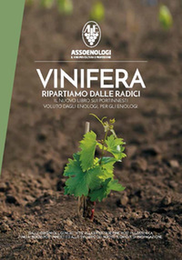 Vinifera. Ripartiamo dalle radici. Il nuovo libro sui portinnesti voluto dagli enologi, per gli enologi. Dalle origini del genere vitis alla ricostruzione post fillosserica fino ai nuovi portinnesti ed allo sviluppo di nuove tecniche di propagazione - Librerie.coop Vinifera. Ripartiamo dalle radici. Il nuovo libro sui portinnesti voluto dagli enologi, per gli enologi. Dalle origini del genere vitis alla ricostruzione post fillosserica fino ai nuovi portinnesti ed allo sviluppo di nuove tecniche di propagazione - Librerie.coop