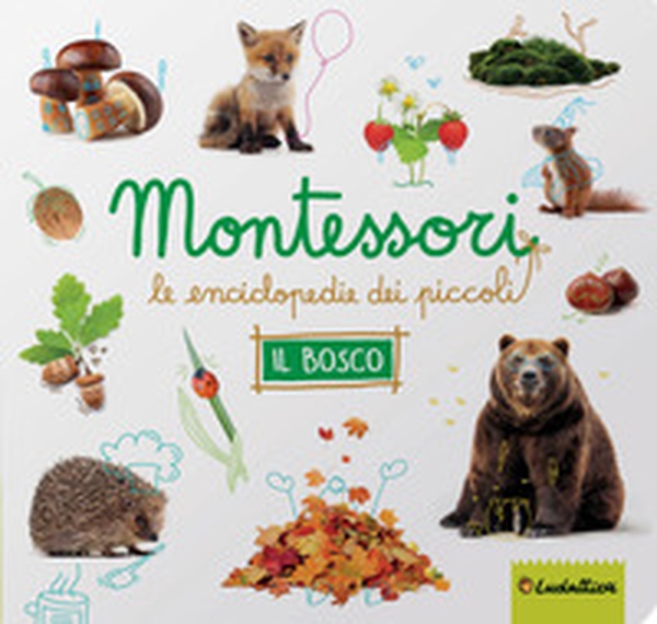 Il bosco. Montessori. Le enciclopedie dei piccoli - Librerie.coop Il bosco. Montessori. Le enciclopedie dei piccoli - Librerie.coop