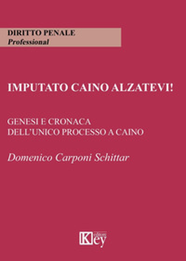 Imputato Caino alzatevi! Genesi e cronaca dell'unico processo a Caino - Librerie.coop Imputato Caino alzatevi! Genesi e cronaca dell'unico processo a Caino - Librerie.coop