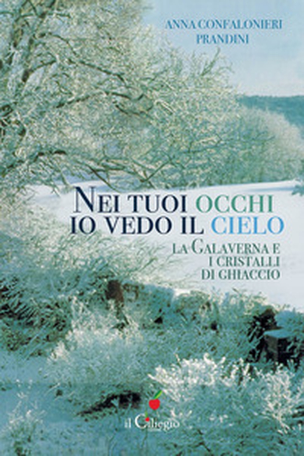 Nei tuoi occhi io vedo il cielo. La galaverna e i cristalli di ghiaccio - Librerie.coop Nei tuoi occhi io vedo il cielo. La galaverna e i cristalli di ghiaccio - Librerie.coop