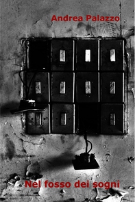 Nel fosso dei sogni - Librerie.coop