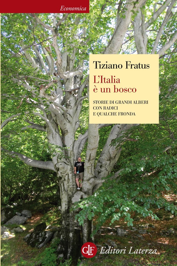 L'Italia è un bosco - Librerie.coop L'Italia è un bosco - Librerie.coop