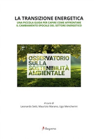 La transizione energetica. Una piccola guida per capire come affrontare il cambiamento epocale del settore energetico - Librerie.coop
