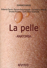 La pelle. Anatomia - Librerie.coop
