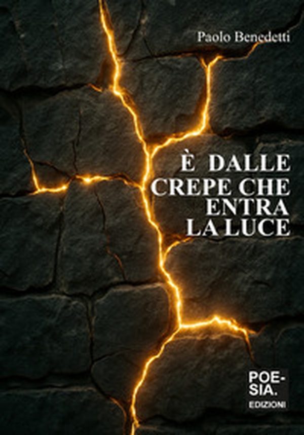 È dalle crepe che entra la luce - Librerie.coop