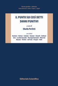 Il punto sui così detti danni punitivi - Librerie.coop