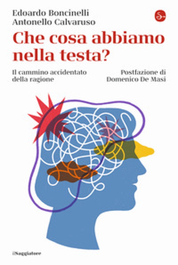 Che cosa abbiamo nella testa? Il cammino accidentato della ragione - Librerie.coop Che cosa abbiamo nella testa? Il cammino accidentato della ragione - Librerie.coop