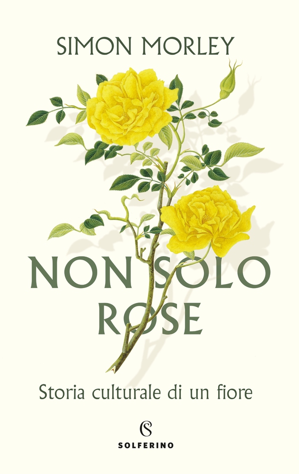 Non solo rose - Librerie.coop Non solo rose - Librerie.coop