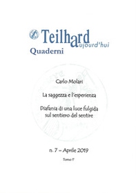 La saggezza e l'esperienza. La saggezza e l'esperienza-Diafania di una luce fulgida sul sentiero del sentire - Librerie.coop
