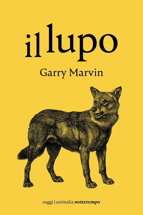 Il lupo - Librerie.coop Il lupo - Librerie.coop