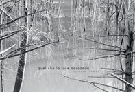 Quel che la luce nasconde - Librerie.coop