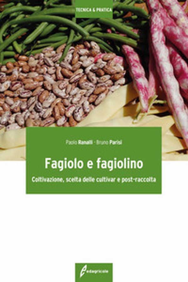 Fagiolo e fagiolino. Coltivazione, scelta delle cultivar e post-raccolta - Librerie.coop Fagiolo e fagiolino. Coltivazione, scelta delle cultivar e post-raccolta - Librerie.coop