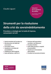 Strumenti per la risoluzione della crisi da sovraindebitamento. Procedure e strategie per la tutela di imprese, consumatori ed enti - Librerie.coop