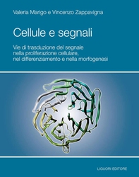 Cellule e Segnali - Librerie.coop Cellule e Segnali - Librerie.coop