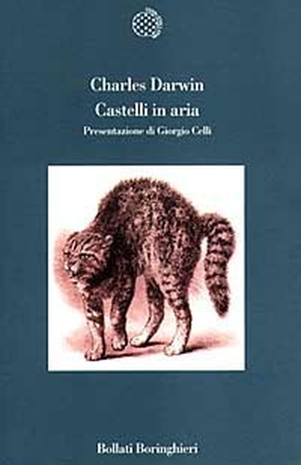 Castelli in aria. Taccuini M. N. Profilo di un bambino - Librerie.coop Castelli in aria. Taccuini M. N. Profilo di un bambino - Librerie.coop