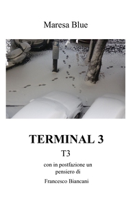 TERMINAL 3 - Librerie.coop