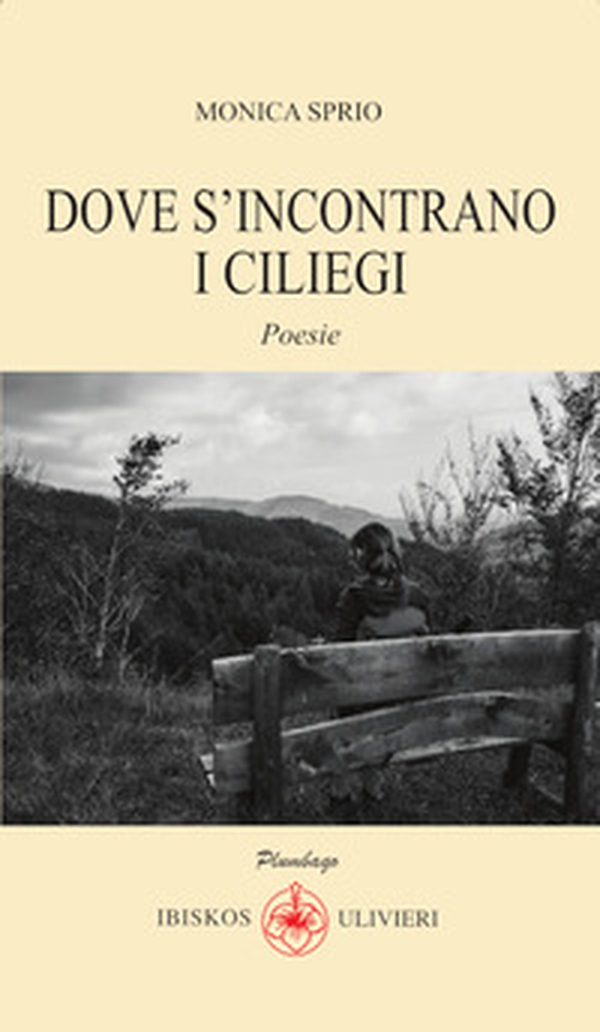 Dove s'incontrano i ciliegi - Librerie.coop