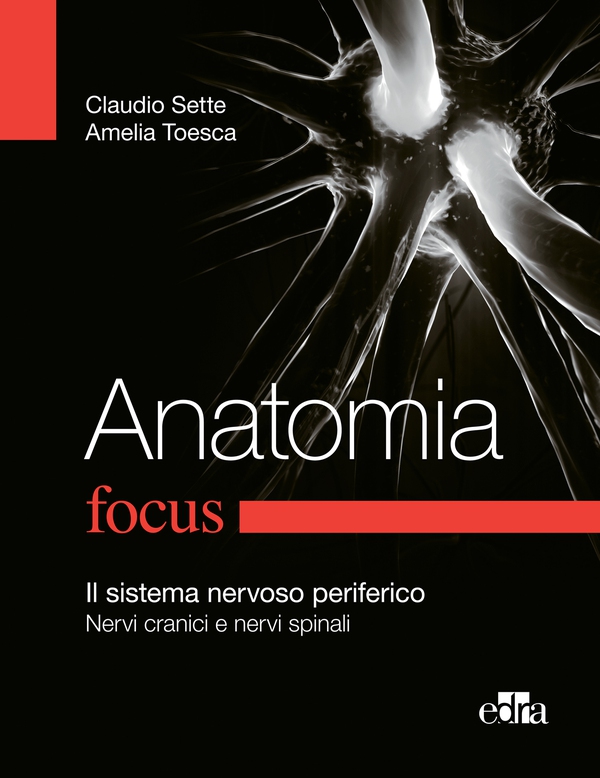 Anatomia Focus - Librerie.coop Anatomia Focus - Librerie.coop