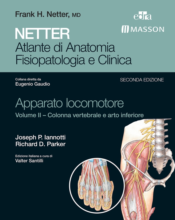 NETTER Atlante di anatomia fisiopatologia e clinica: Apparato Locomotore 2 - Librerie.coop