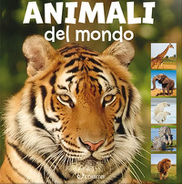 Animali del mondo. Animal photo - Librerie.coop Animali del mondo. Animal photo - Librerie.coop