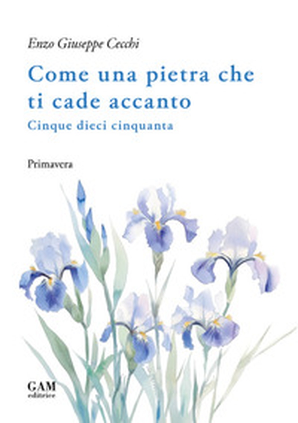 Come una pietra che ti cade accanto. Cinque dieci cinquanta. Primavera - Librerie.coop