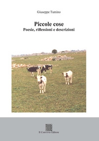 Piccole cose. Poesie, riflessioni e descrizioni - Librerie.coop