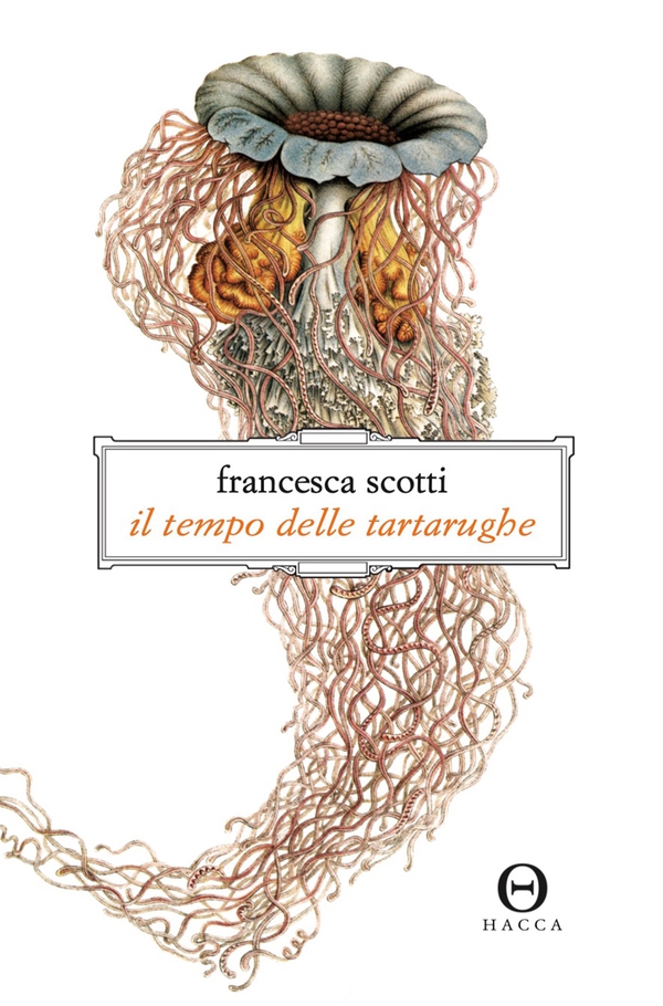 Il tempo delle tartarughe - Librerie.coop Il tempo delle tartarughe - Librerie.coop