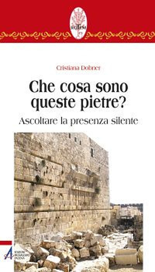 Che cosa sono queste pietre? Ascoltare la presenza silente - Librerie.coop Che cosa sono queste pietre? Ascoltare la presenza silente - Librerie.coop