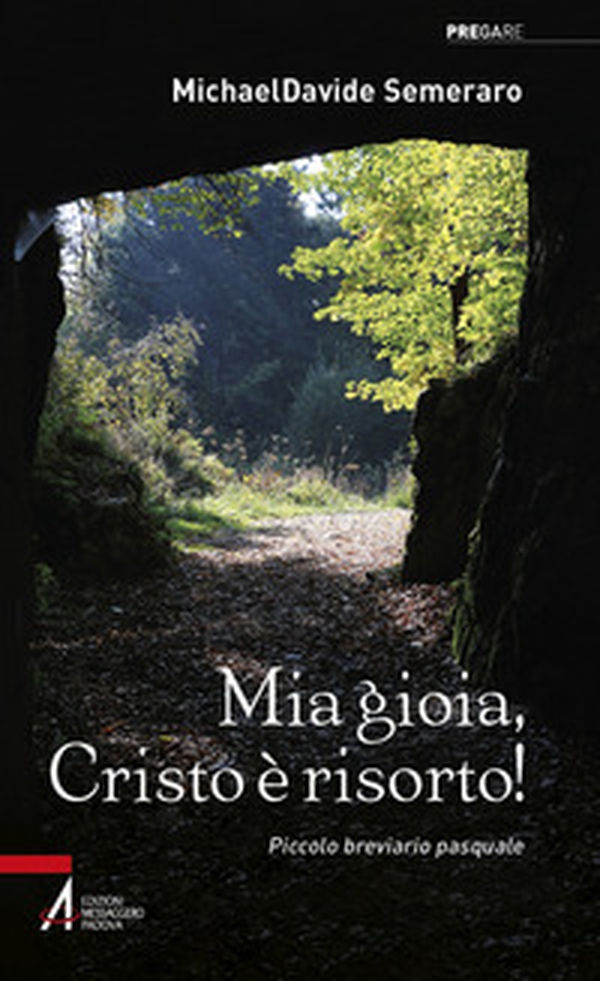 Mia gioia, Cristo è risorto! Meditazioni quotidiane da Pasqua a Pentecoste - Librerie.coop Mia gioia, Cristo è risorto! Meditazioni quotidiane da Pasqua a Pentecoste - Librerie.coop