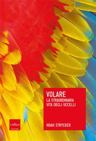 Volare - Librerie.coop Volare - Librerie.coop