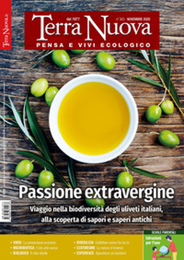 Terra nuova - Librerie.coop Terra nuova - Librerie.coop