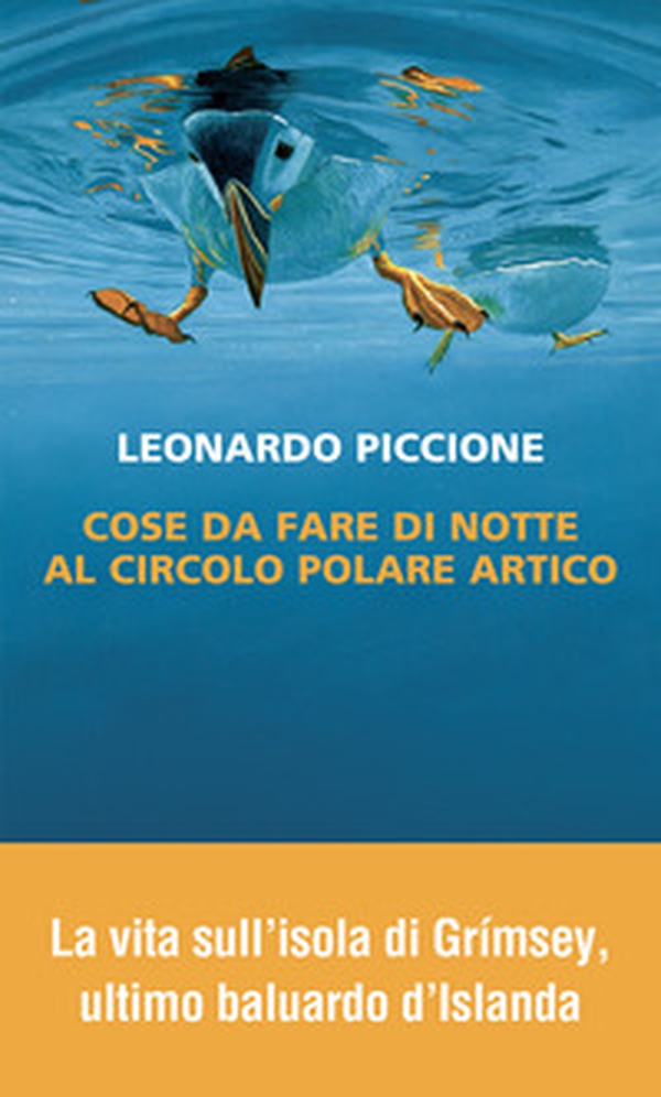 Cose da fare di notte al circolo polare artico - Librerie.coop