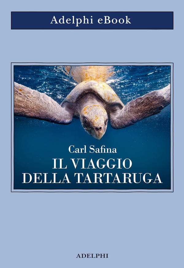 Il viaggio della tartaruga - Librerie.coop Il viaggio della tartaruga - Librerie.coop