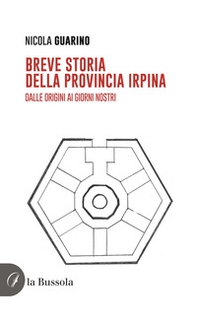 Breve storia della provincia irpina. Dalle origini ai giorni nostri - Librerie.coop